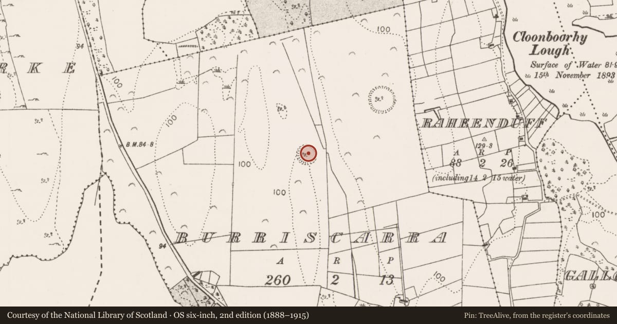 Ordnance Survey six-inch map, 2nd edition (1888–1915) covering the location of Ringfort - rath, Burriscarra, County Mayo, with a pin at the register's coordinates