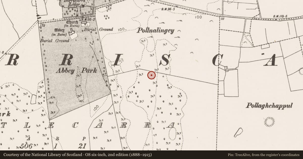 Ordnance Survey six-inch map, 2nd edition (1888–1915) covering the location of Enclosure, Castlecarra, County Mayo, with a pin at the register's coordinates
