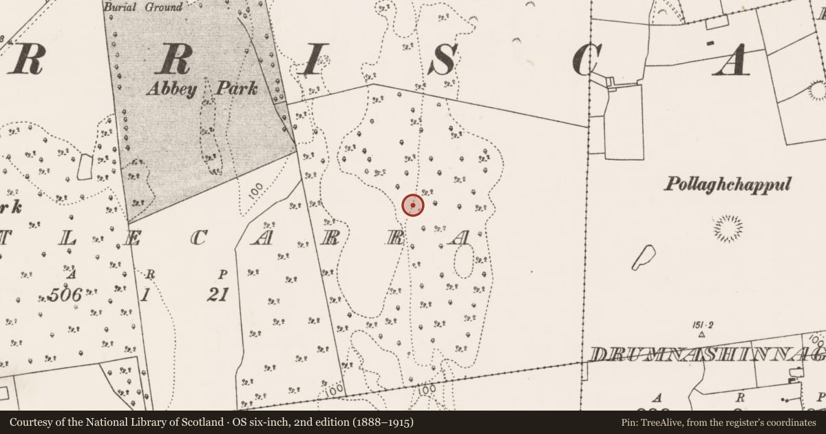 Ordnance Survey six-inch map, 2nd edition (1888–1915) covering the location of Souterrain, Castlecarra, County Mayo, with a pin at the register's coordinates