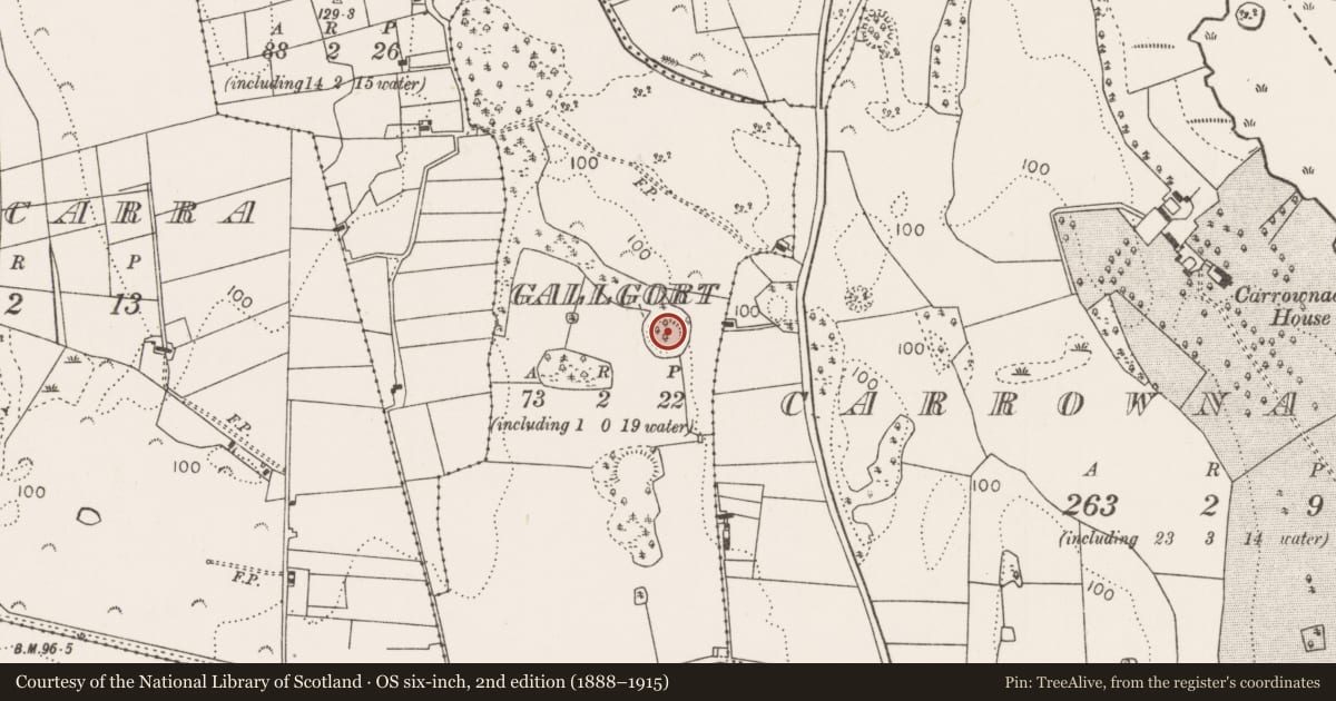 Ordnance Survey six-inch map, 2nd edition (1888–1915) covering the location of Ringfort - rath, Gallgort, County Mayo, with a pin at the register's coordinates