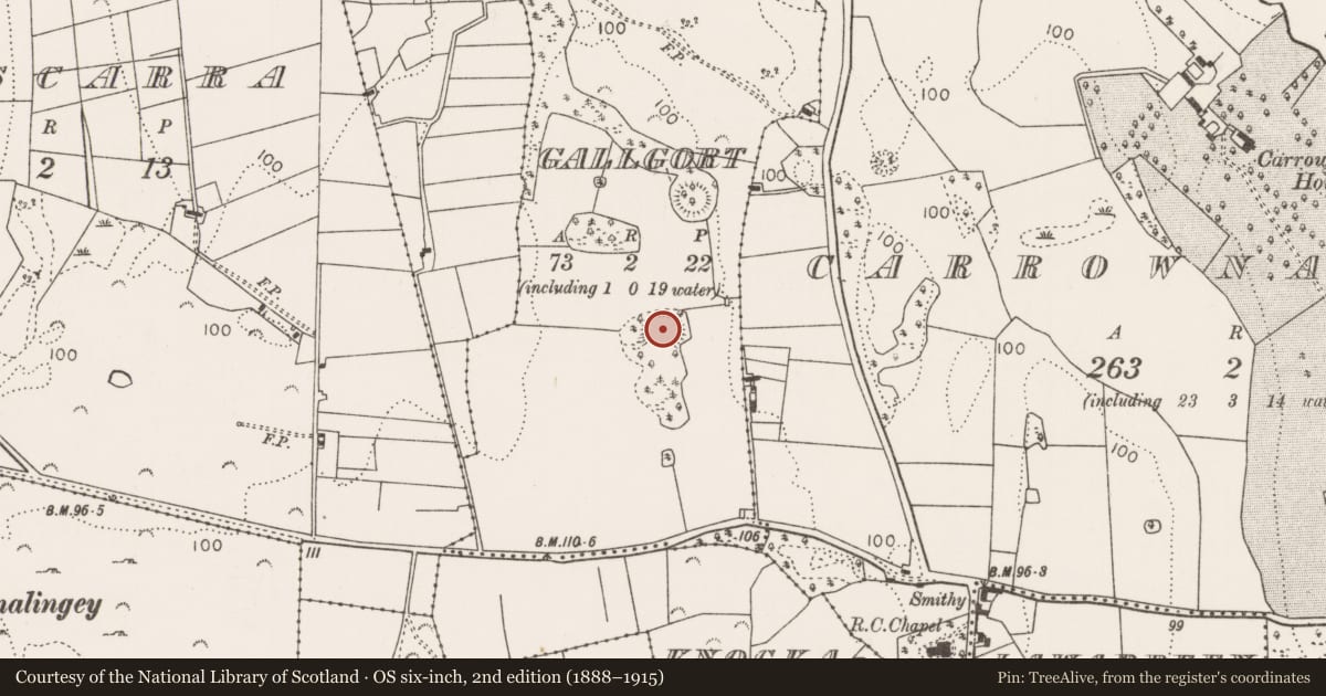 Ordnance Survey six-inch map, 2nd edition (1888–1915) covering the location of Enclosure, Gallgort, County Mayo, with a pin at the register's coordinates