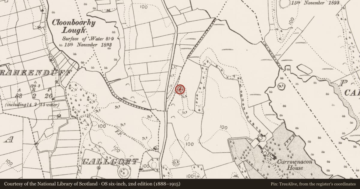 Ordnance Survey six-inch map, 2nd edition (1888–1915) covering the location of Ringfort - rath, Carrownacon, County Mayo, with a pin at the register's coordinates