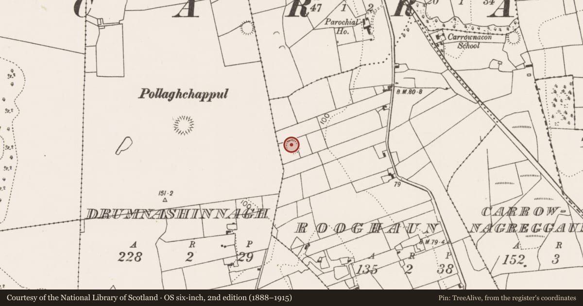 Ordnance Survey six-inch map, 2nd edition (1888–1915) covering the location of Ringfort - rath, Rooghaun, County Mayo, with a pin at the register's coordinates