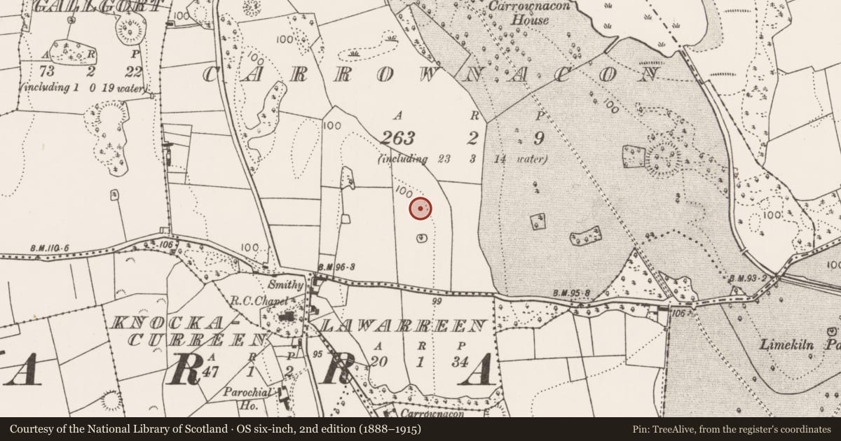 Ordnance Survey six-inch map, 2nd edition (1888–1915) covering the location of Cist, Carrownacon, County Mayo, with a pin at the register's coordinates