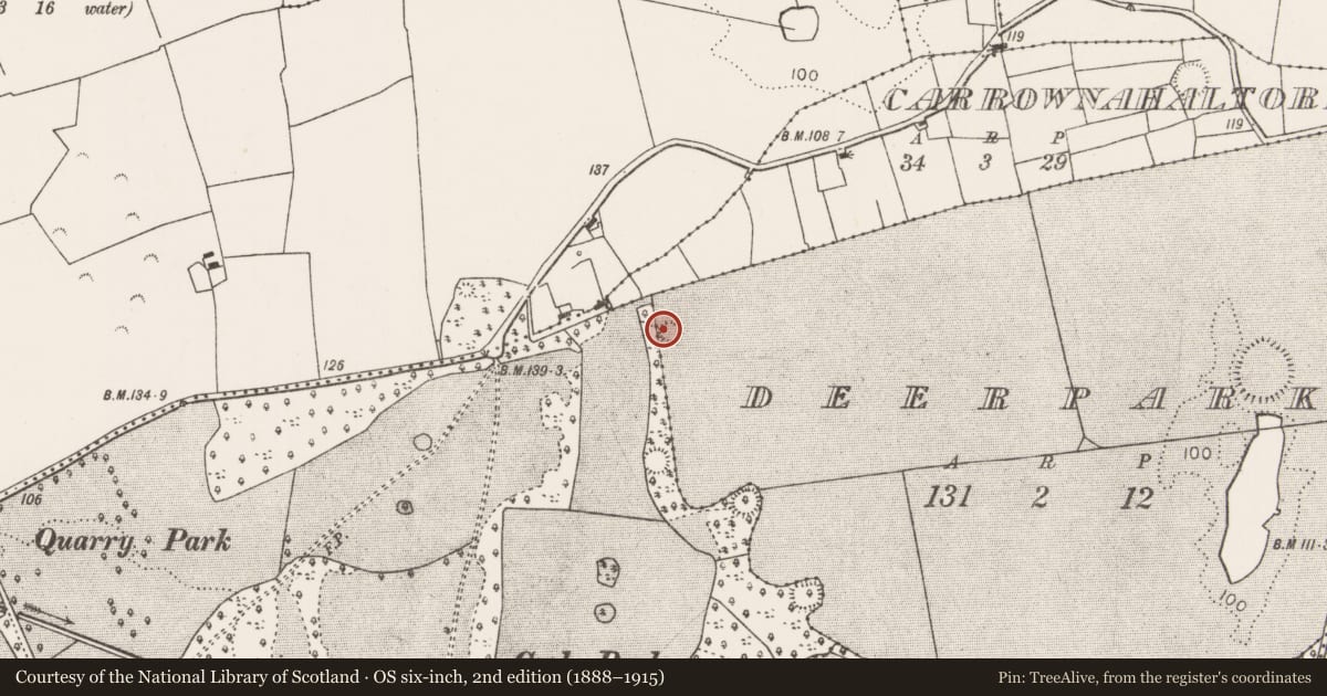 Ordnance Survey six-inch map, 2nd edition (1888–1915) covering the location of Barrow - ring-barrow, Deerpark (Carra By., Touaghty Par.) (Part of), County Mayo, with a pin at the register's coordinates