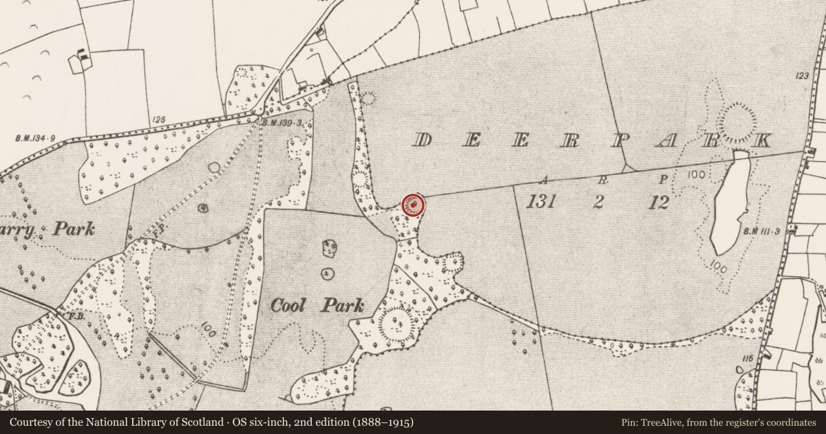 Ordnance Survey six-inch map, 2nd edition (1888–1915) covering the location of Ringfort - rath, Towerhill Demesne, County Mayo, with a pin at the register's coordinates