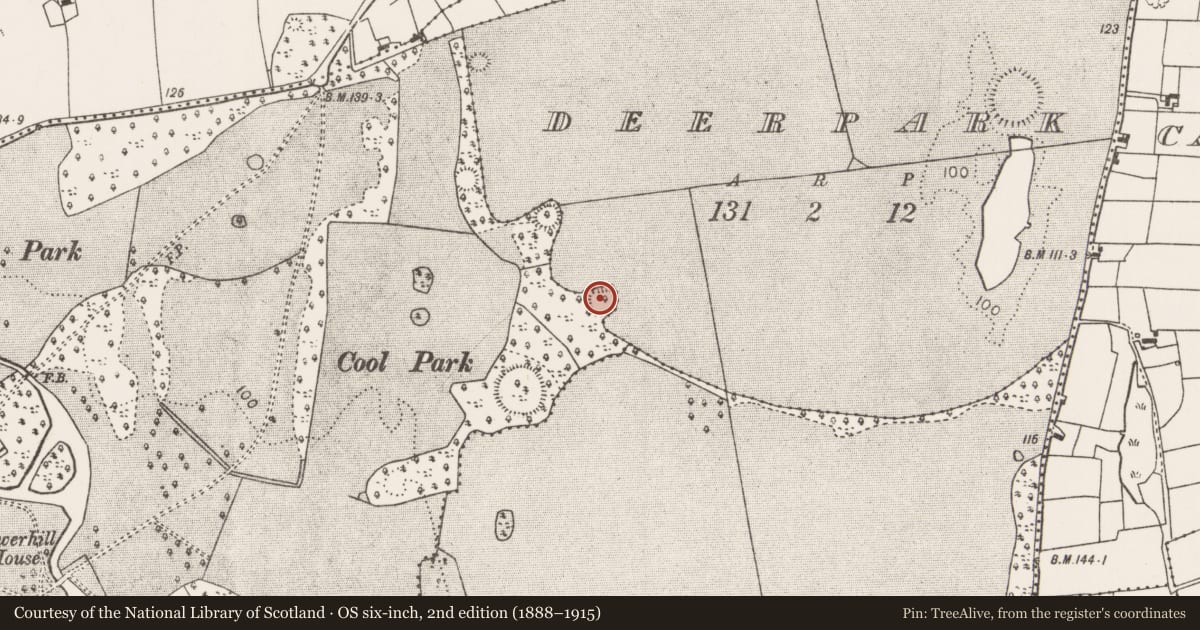 Ordnance Survey six-inch map, 2nd edition (1888–1915) covering the location of Ringfort - rath, Towerhill Demesne, County Mayo, with a pin at the register's coordinates