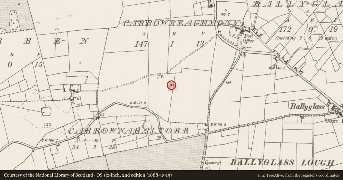 Ordnance Survey six-inch map, 2nd edition (1888–1915) covering the location of Ringfort - rath, Carrowreaghmony, County Mayo, with a pin at the register's coordinates