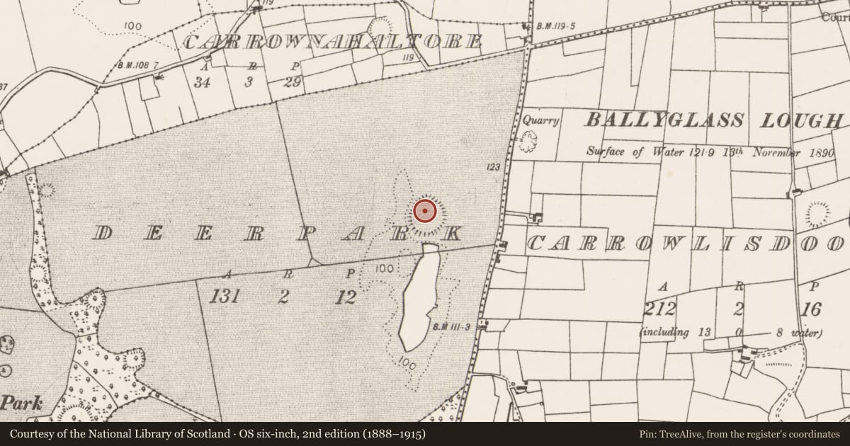 Ordnance Survey six-inch map, 2nd edition (1888–1915) covering the location of Ringfort - rath, Deerpark (Carra By., Touaghty Par.) (Part of), County Mayo, with a pin at the register's coordinates