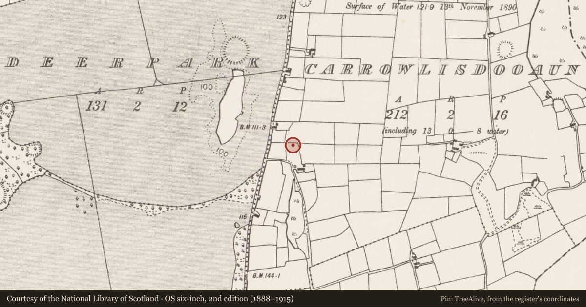 Ordnance Survey six-inch map, 2nd edition (1888–1915) covering the location of Cairn - unclassified, Carrowlisdooaun, County Mayo, with a pin at the register's coordinates