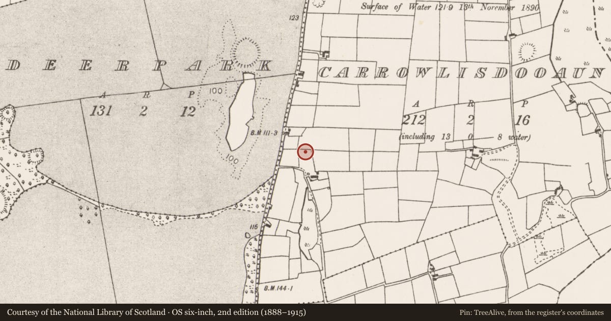Ordnance Survey six-inch map, 2nd edition (1888–1915) covering the location of Cist, Carrowlisdooaun, County Mayo, with a pin at the register's coordinates