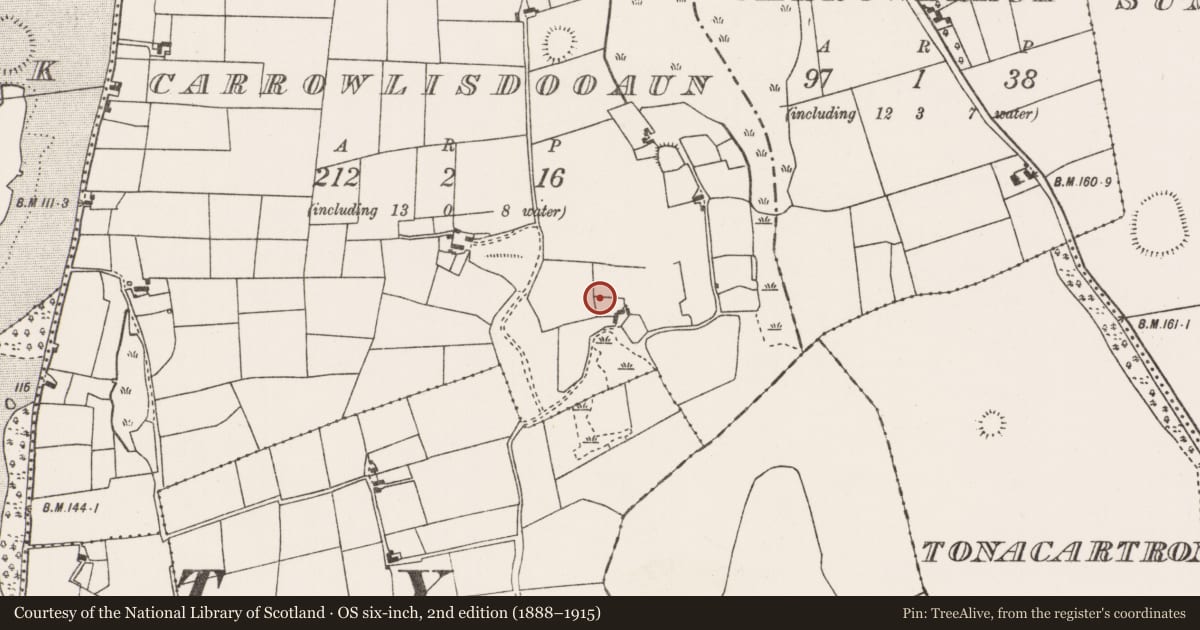 Ordnance Survey six-inch map, 2nd edition (1888–1915) covering the location of Cist, Carrowlisdooaun, County Mayo, with a pin at the register's coordinates