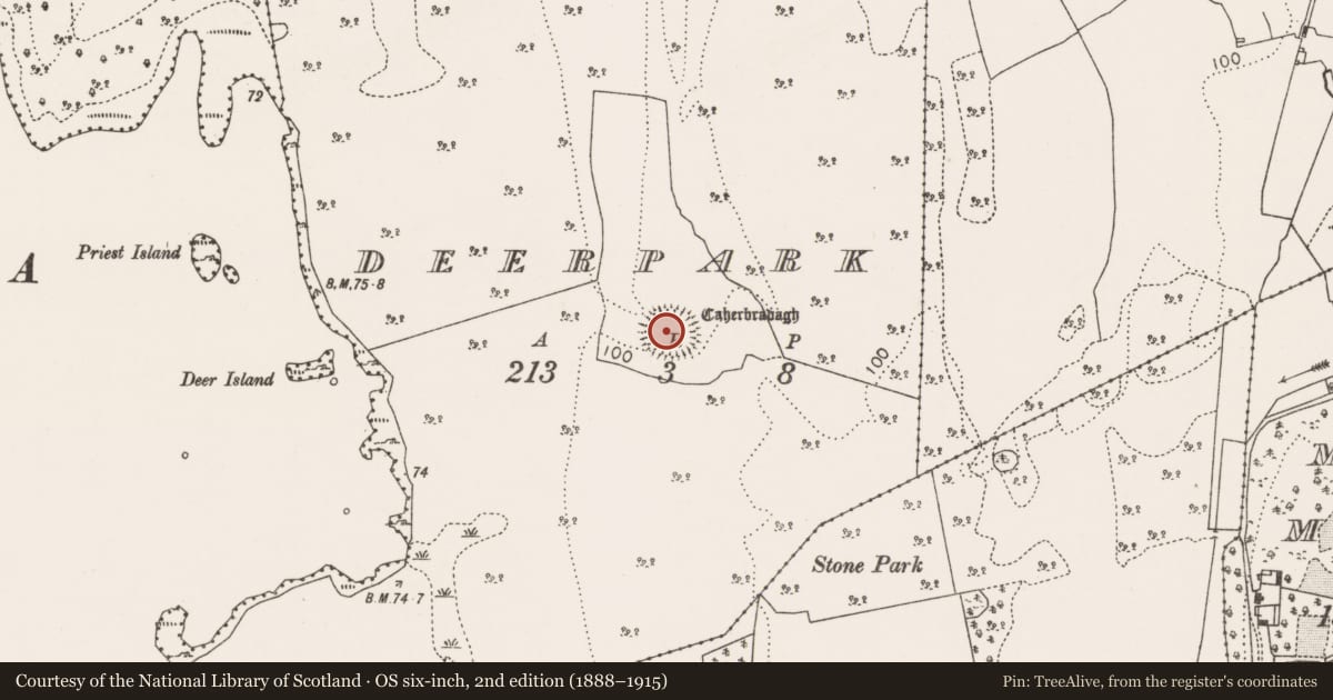 Ordnance Survey six-inch map, 2nd edition (1888–1915) covering the location of Enclosure, Deerpark (Carra By., Burriscarra Par.), County Mayo, with a pin at the register's coordinates