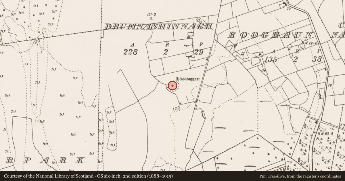 Ordnance Survey six-inch map, 2nd edition (1888–1915) covering the location of Ringfort - rath, Drumnashinnagh, County Mayo, with a pin at the register's coordinates