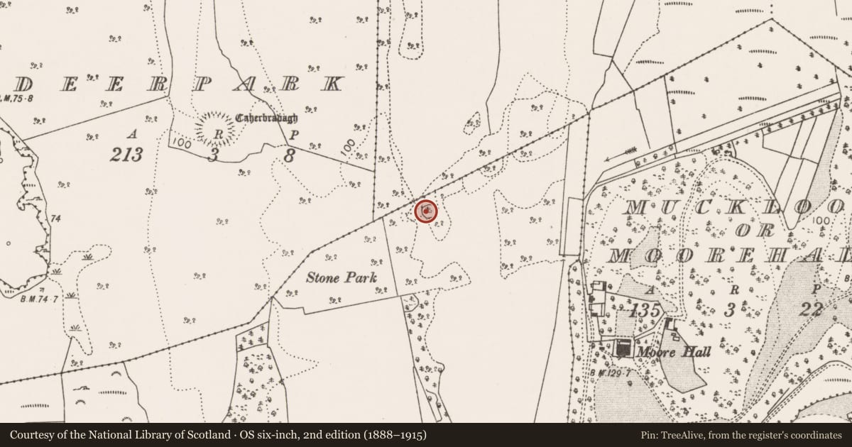 Ordnance Survey six-inch map, 2nd edition (1888–1915) covering the location of Enclosure, Ballycally, County Mayo, with a pin at the register's coordinates