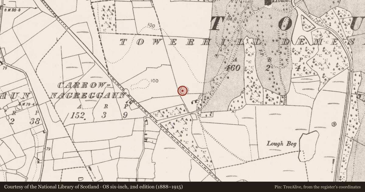 Ordnance Survey six-inch map, 2nd edition (1888–1915) covering the location of Ringfort - rath, Towerhill Demesne, County Mayo, with a pin at the register's coordinates