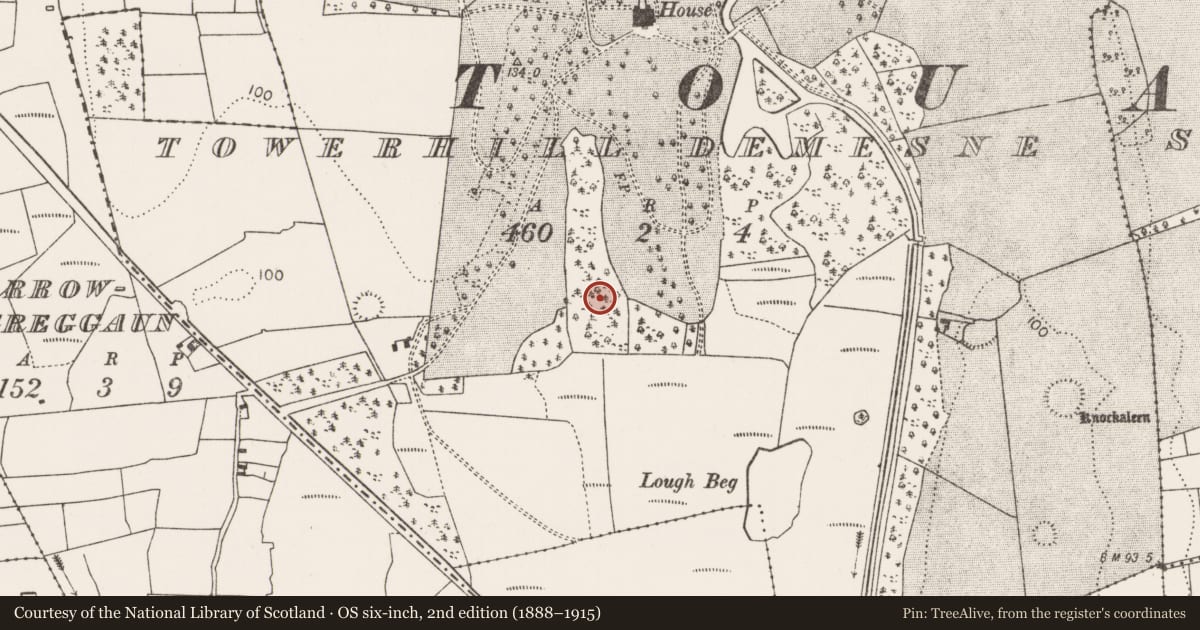 Ordnance Survey six-inch map, 2nd edition (1888–1915) covering the location of Crannog, Towerhill Demesne, County Mayo, with a pin at the register's coordinates