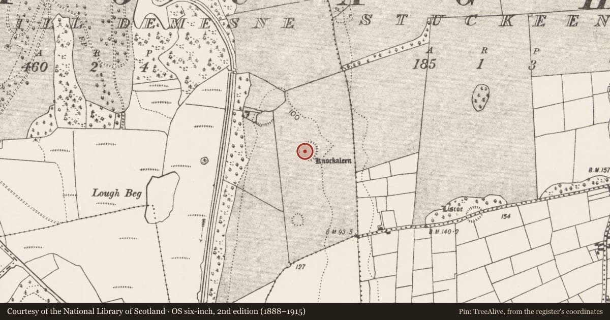 Ordnance Survey six-inch map, 2nd edition (1888–1915) covering the location of Ringfort - rath, Towerhill Demesne, County Mayo, with a pin at the register's coordinates