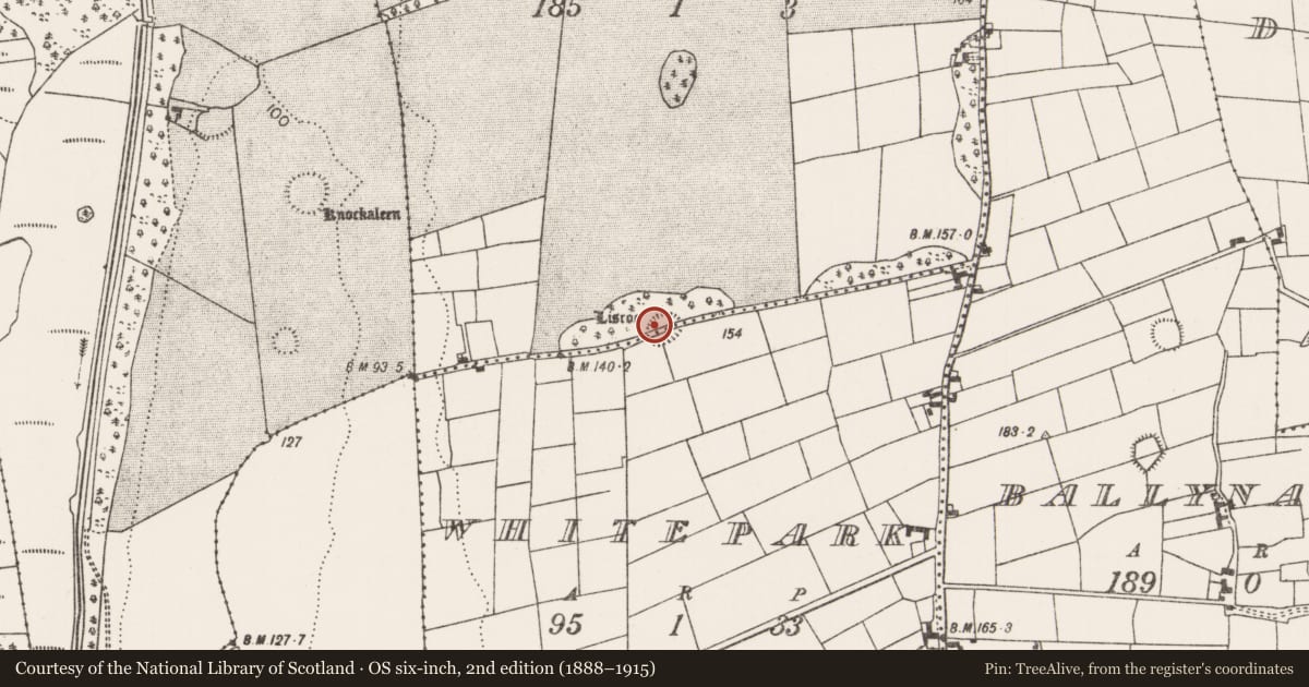 Ordnance Survey six-inch map, 2nd edition (1888–1915) covering the location of Enclosure, Stuckeen, Whitepark, County Mayo, with a pin at the register's coordinates