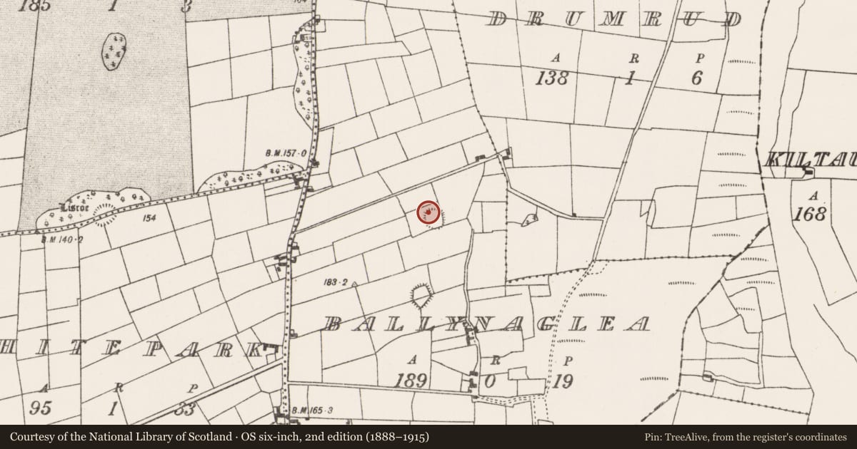 Ordnance Survey six-inch map, 2nd edition (1888–1915) covering the location of Ringfort - rath, Ballynaglea, County Mayo, with a pin at the register's coordinates