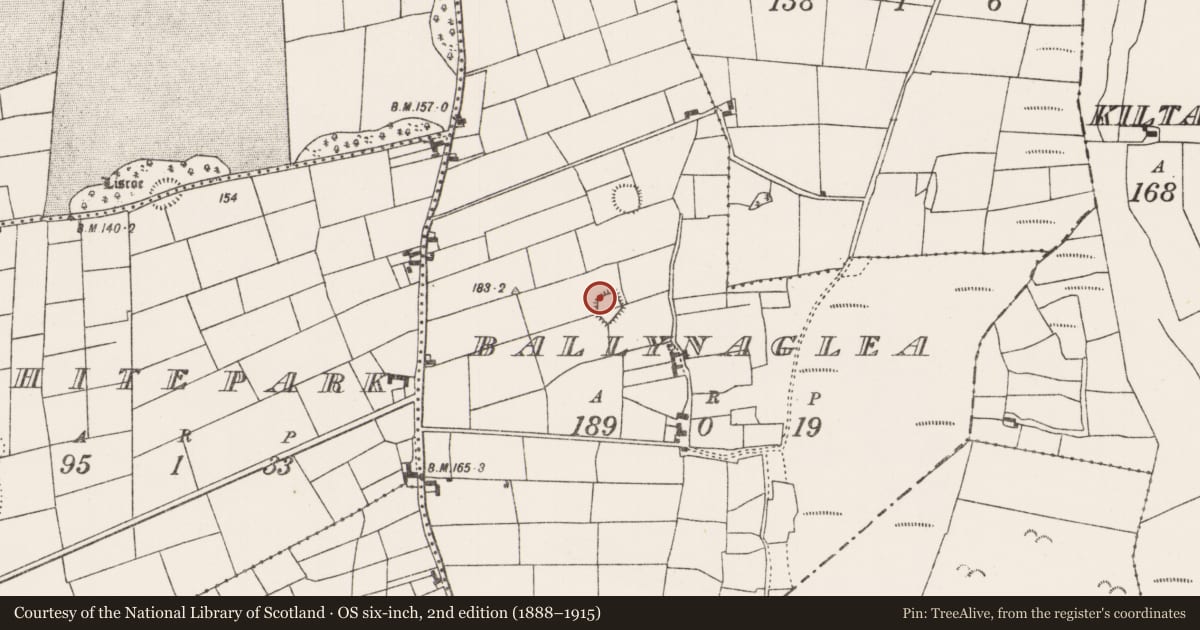 Ordnance Survey six-inch map, 2nd edition (1888–1915) covering the location of Souterrain, Ballynaglea, County Mayo, with a pin at the register's coordinates