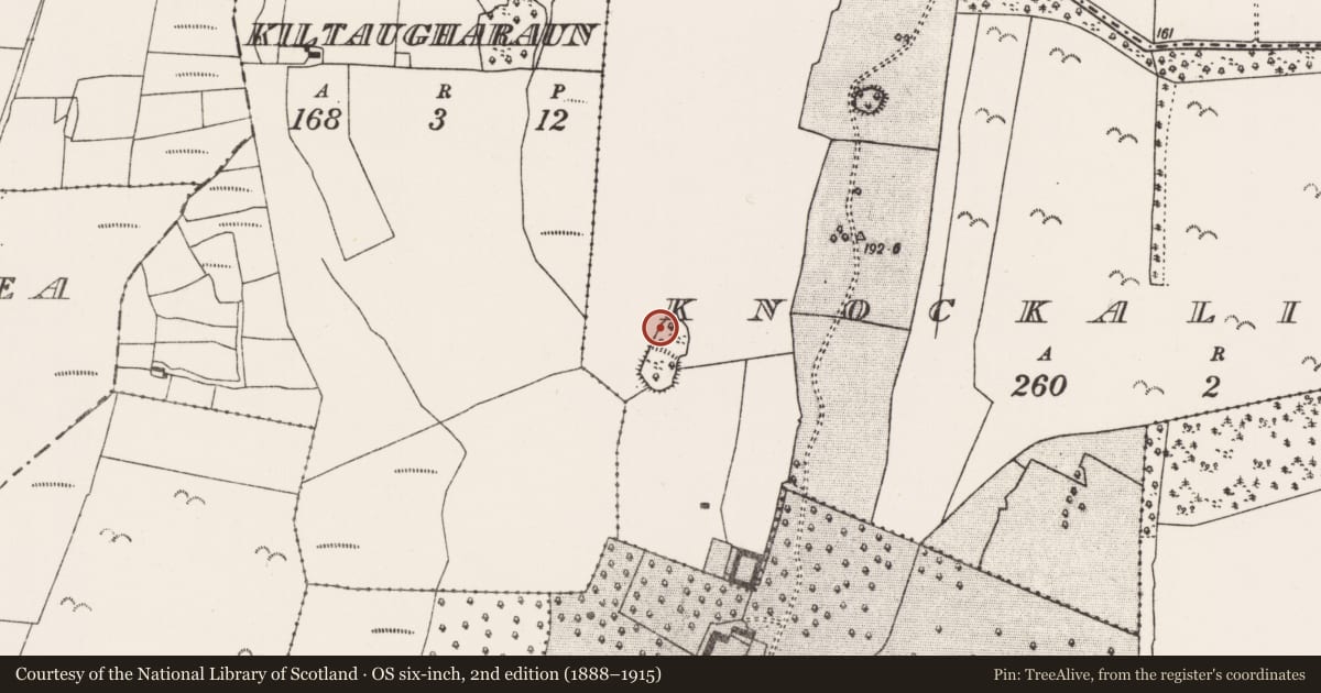 Ordnance Survey six-inch map, 2nd edition (1888–1915) covering the location of Ringfort - rath, Knockalinsky, County Mayo, with a pin at the register's coordinates