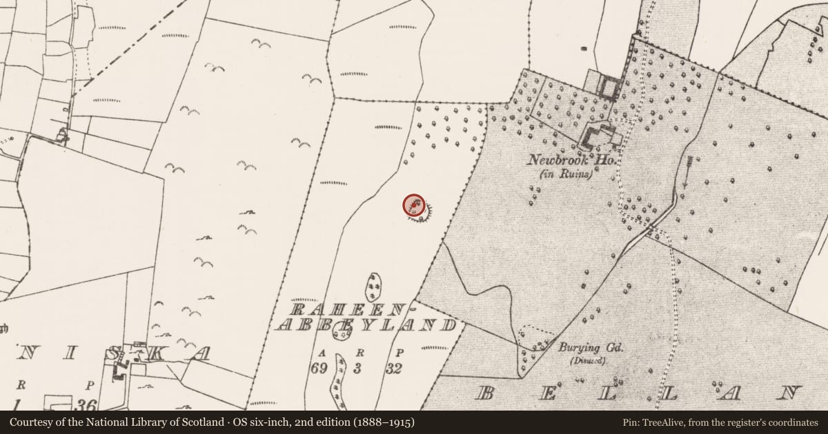 Ordnance Survey six-inch map, 2nd edition (1888–1915) covering the location of Ringfort - rath, Raheenabbeyland, County Mayo, with a pin at the register's coordinates