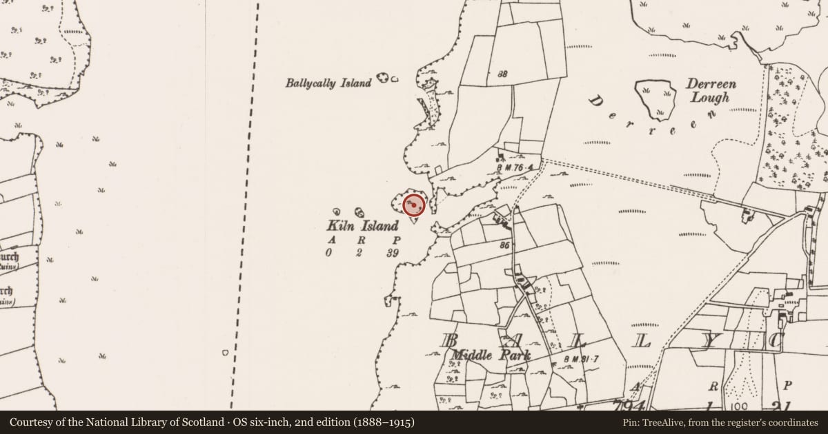 Ordnance Survey six-inch map, 2nd edition (1888–1915) covering the location of Crannog, Lough Carra, County Mayo, with a pin at the register's coordinates