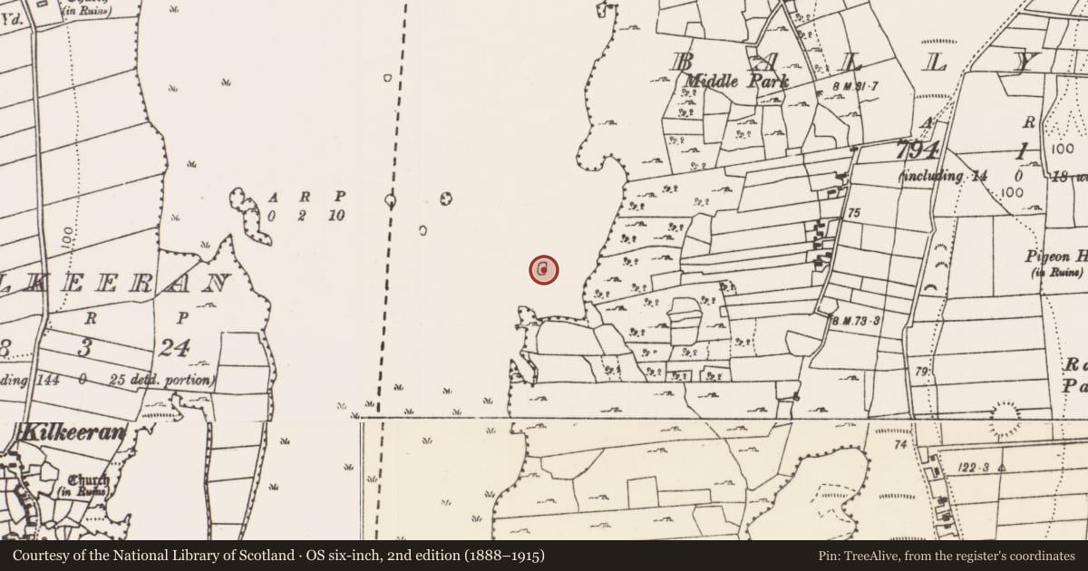 Ordnance Survey six-inch map, 2nd edition (1888–1915) covering the location of Crannog, Lough Carra, County Mayo, with a pin at the register's coordinates