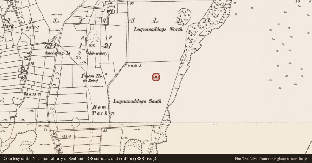 Ordnance Survey six-inch map, 2nd edition (1888–1915) covering the location of Enclosure, Ballycally, County Mayo, with a pin at the register's coordinates