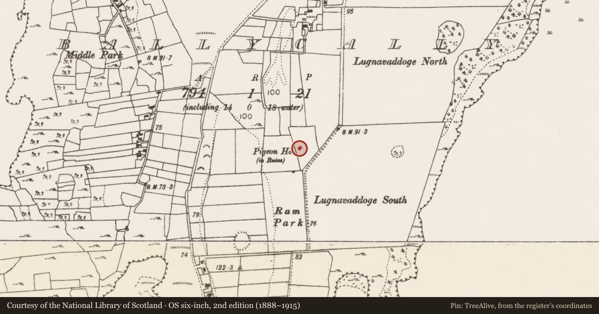 Ordnance Survey six-inch map, 2nd edition (1888–1915) covering the location of Dovecote, Ballycally, County Mayo, with a pin at the register's coordinates