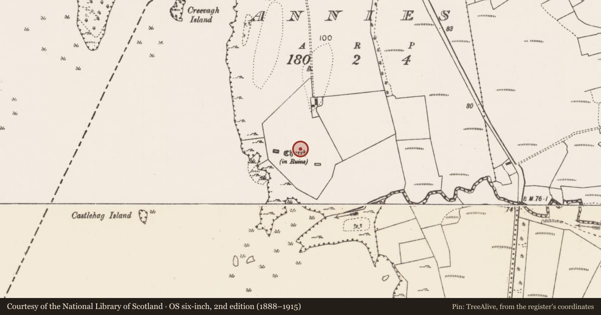 Ordnance Survey six-inch map, 2nd edition (1888–1915) covering the location of Ecclesiastical enclosure, Annies, County Mayo, with a pin at the register's coordinates