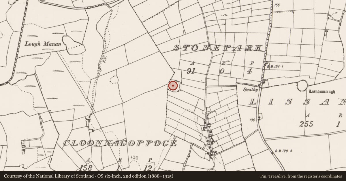 Ordnance Survey six-inch map, 2nd edition (1888–1915) covering the location of Ringfort - rath, Stonepark (Carra By., Touaghty Par.), County Mayo, with a pin at the register's coordinates