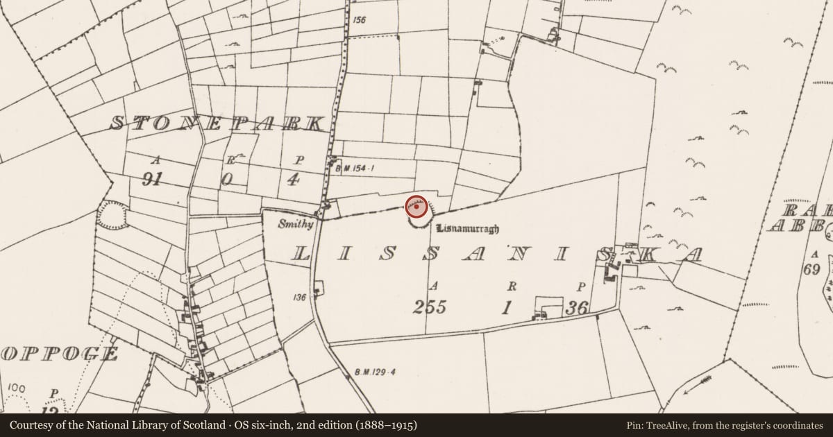 Ordnance Survey six-inch map, 2nd edition (1888–1915) covering the location of Ringfort - rath, Ballynaglea, Lissaniska, County Mayo, with a pin at the register's coordinates