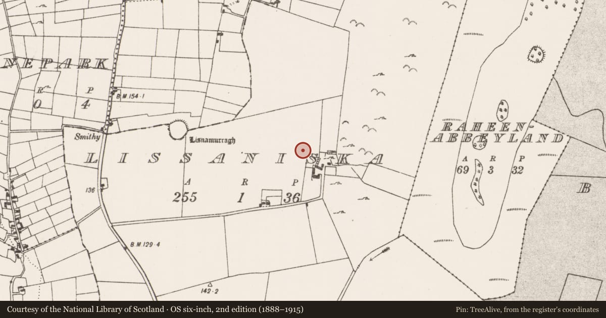 Ordnance Survey six-inch map, 2nd edition (1888–1915) covering the location of Enclosure, Lissaniska, County Mayo, with a pin at the register's coordinates