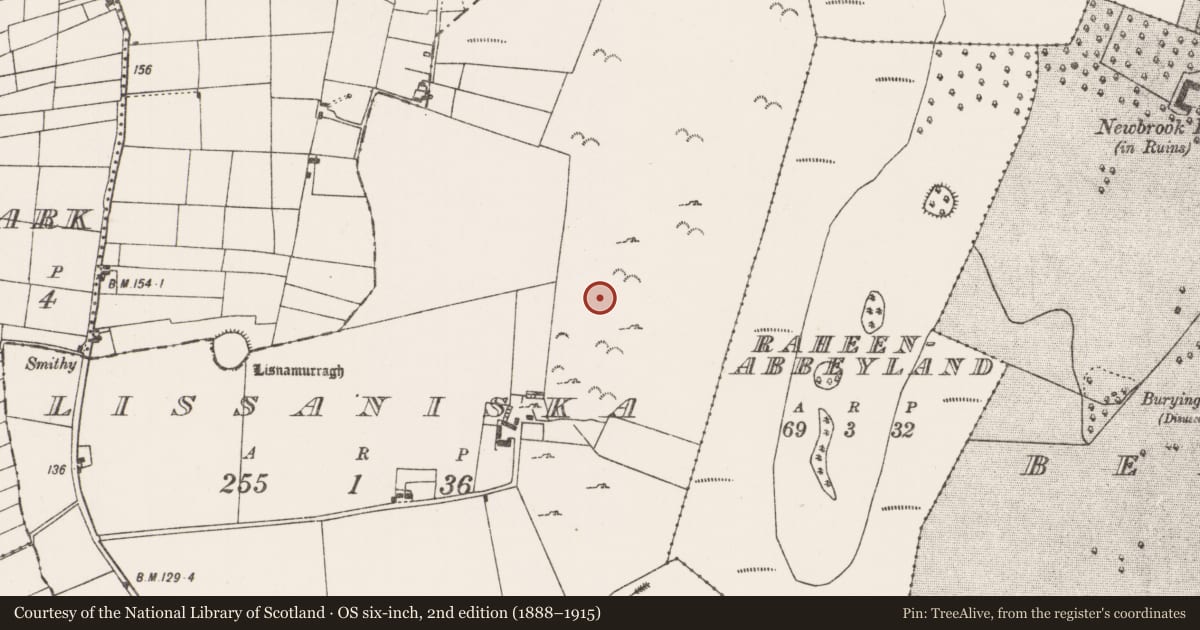 Ordnance Survey six-inch map, 2nd edition (1888–1915) covering the location of Souterrain, Lissaniska, County Mayo, with a pin at the register's coordinates