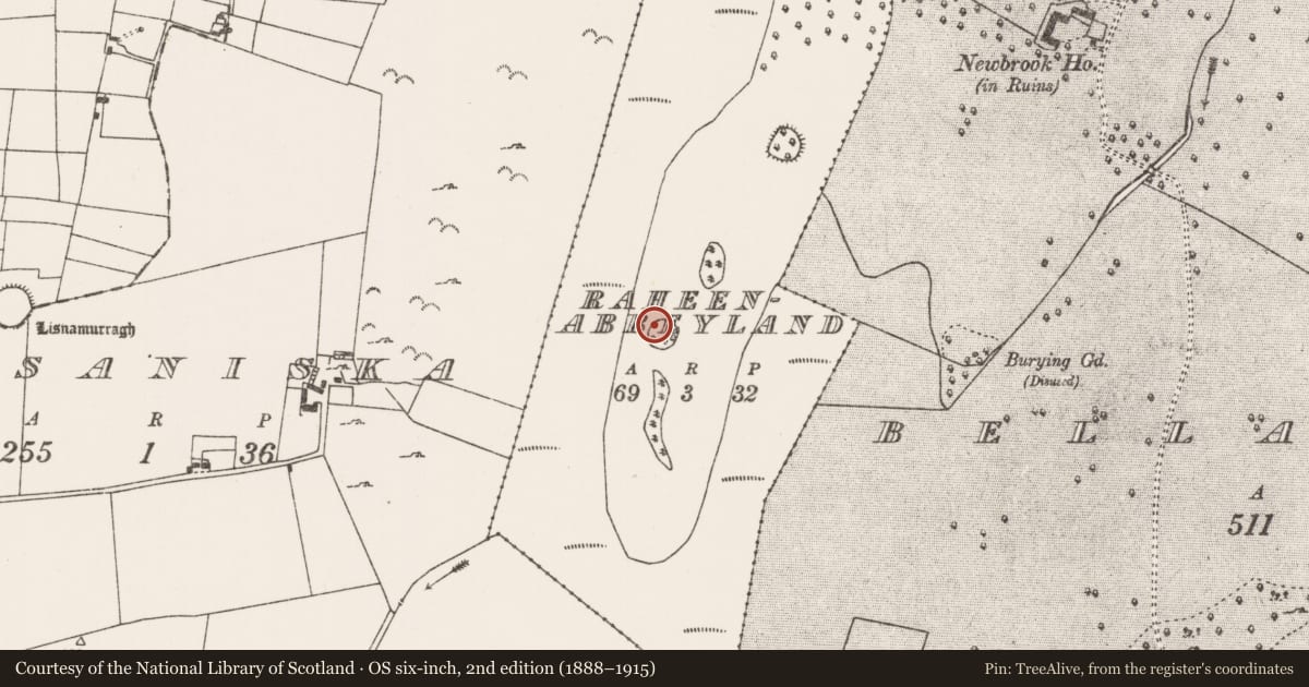 Ordnance Survey six-inch map, 2nd edition (1888–1915) covering the location of Ringfort - rath, Raheenabbeyland, County Mayo, with a pin at the register's coordinates