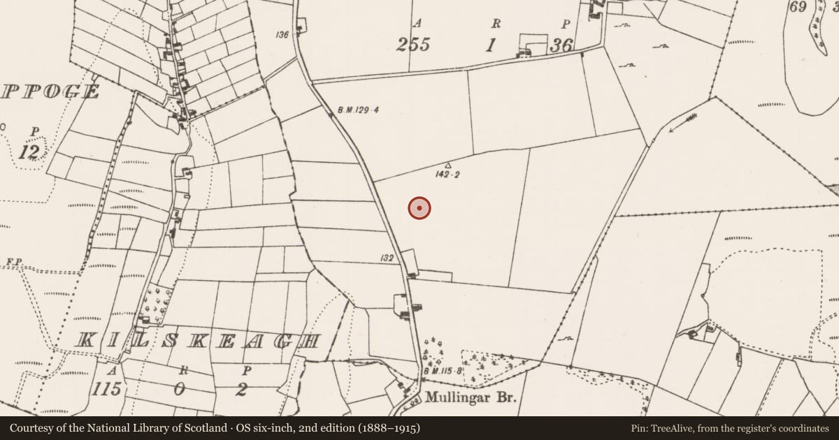 Ordnance Survey six-inch map, 2nd edition (1888–1915) covering the location of Ringfort - rath, Lissaniska, County Mayo, with a pin at the register's coordinates