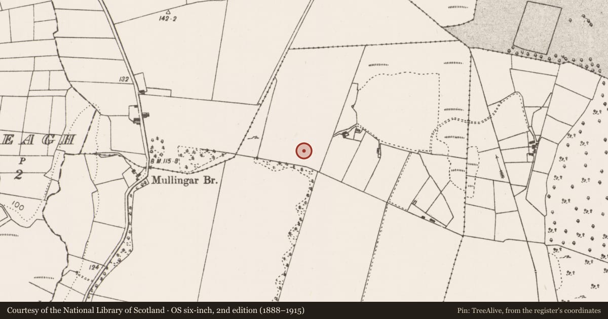 Ordnance Survey six-inch map, 2nd edition (1888–1915) covering the location of Enclosure, Togher, County Mayo, with a pin at the register's coordinates