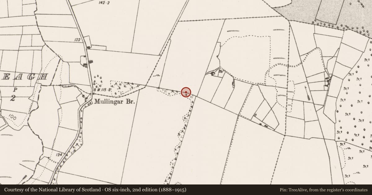 Ordnance Survey six-inch map, 2nd edition (1888–1915) covering the location of Ringfort - rath, Togher, County Mayo, with a pin at the register's coordinates
