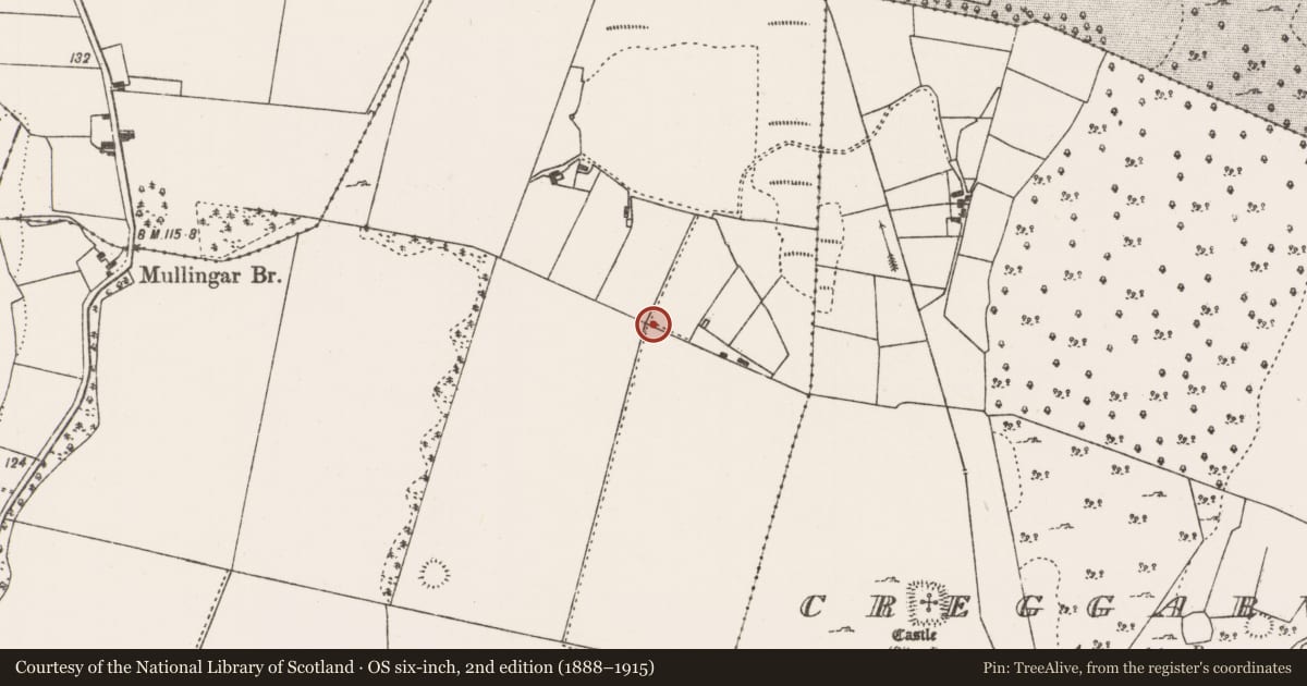 Ordnance Survey six-inch map, 2nd edition (1888–1915) covering the location of Souterrain, Togher, County Mayo, with a pin at the register's coordinates