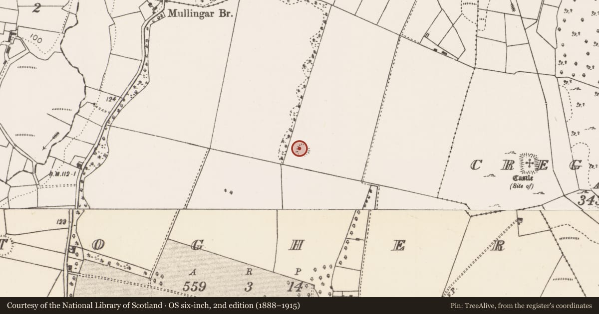 Ordnance Survey six-inch map, 2nd edition (1888–1915) covering the location of Ringfort - rath, Togher, County Mayo, with a pin at the register's coordinates