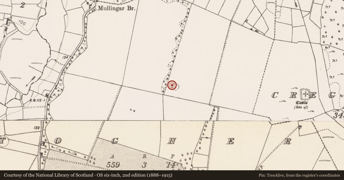 Ordnance Survey six-inch map, 2nd edition (1888–1915) covering the location of Souterrain, Togher, County Mayo, with a pin at the register's coordinates
