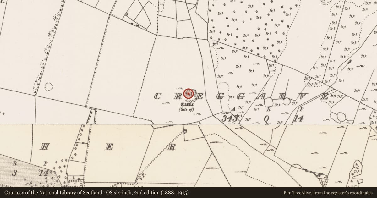 Ordnance Survey six-inch map, 2nd edition (1888–1915) covering the location of Castle - unclassified, Creggarve, County Mayo, with a pin at the register's coordinates