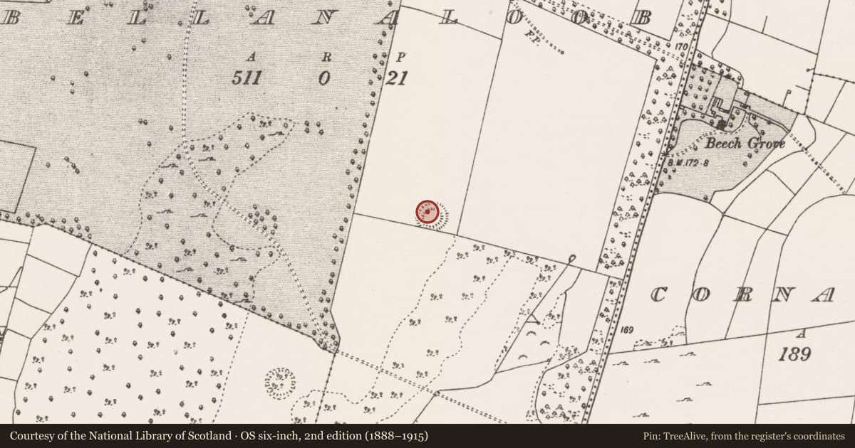 Ordnance Survey six-inch map, 2nd edition (1888–1915) covering the location of Ringfort - rath, Bellanaloob, County Mayo, with a pin at the register's coordinates