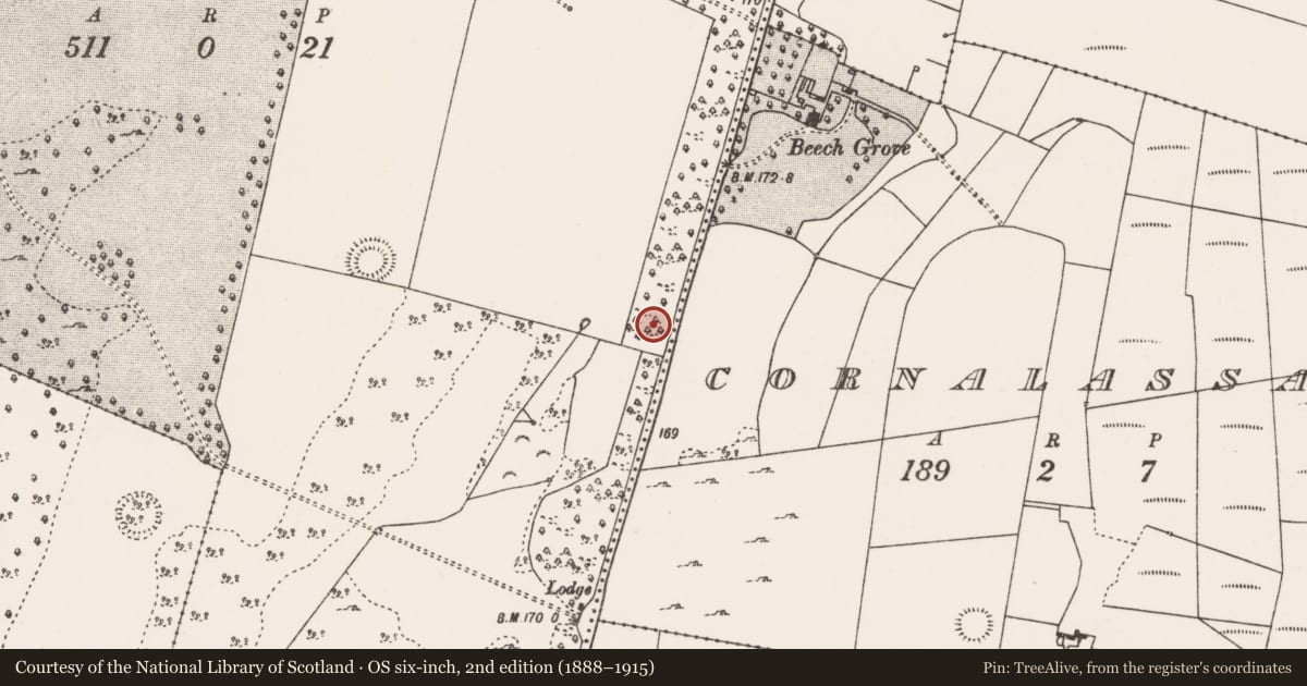 Ordnance Survey six-inch map, 2nd edition (1888–1915) covering the location of Ringfort - rath, Bellanaloob, County Mayo, with a pin at the register's coordinates