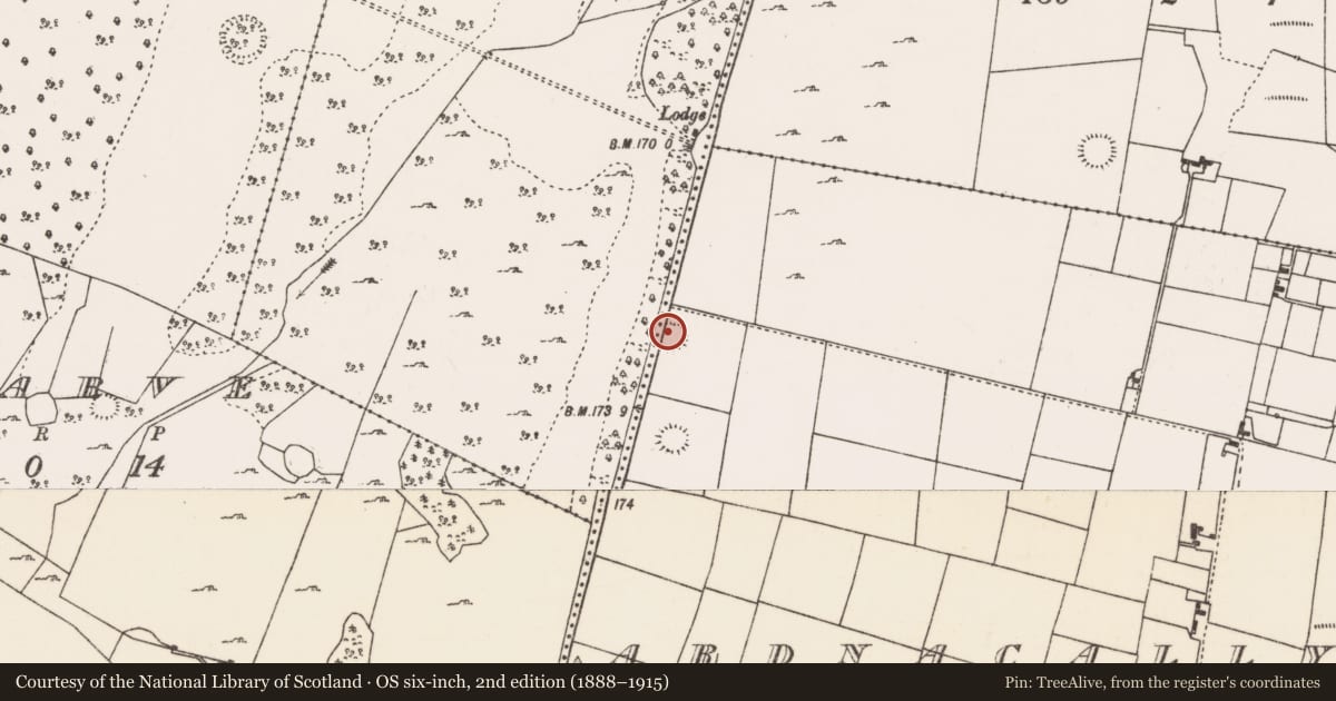 Ordnance Survey six-inch map, 2nd edition (1888–1915) covering the location of Ringfort - rath, Ardnacally, County Mayo, with a pin at the register's coordinates
