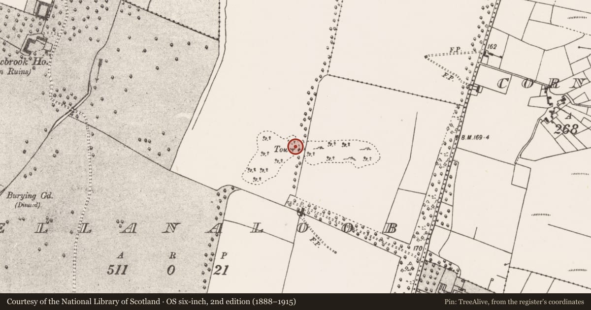 Ordnance Survey six-inch map, 2nd edition (1888–1915) covering the location of Windmill, Bellanaloob, County Mayo, with a pin at the register's coordinates