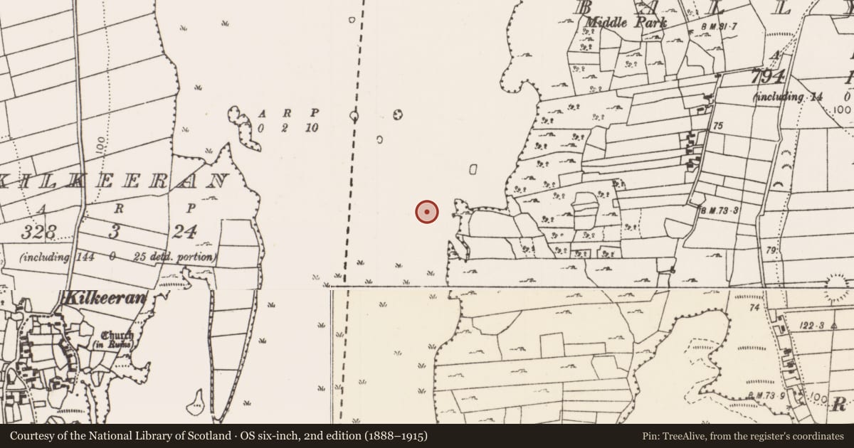 Ordnance Survey six-inch map, 2nd edition (1888–1915) covering the location of Causeway, Lough Carra, County Mayo, with a pin at the register's coordinates