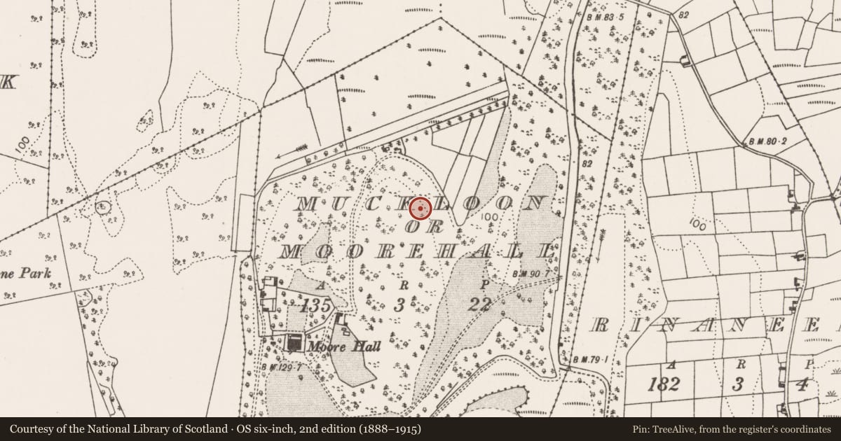 Ordnance Survey six-inch map, 2nd edition (1888–1915) covering the location of Enclosure, Muckloon Or Moorehall, County Mayo, with a pin at the register's coordinates